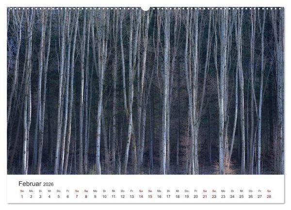 Produktbild: B&auml;ume - Gelebtes Leben (hochwertiger Premium Wandkalender 2026 DIN A2 quer), Kunstdruck in Hochglanz
