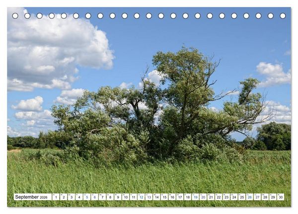 Produktbild: Ein Sommer im Havelland - Spaziergang entlang am Havelradweg (Tischkalender 2026 DIN A5 quer), CALVENDO Monatskalender