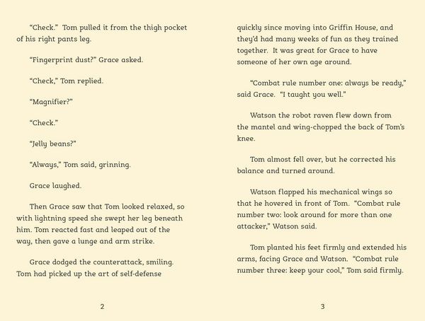 Produktbild: The Raven Riddle