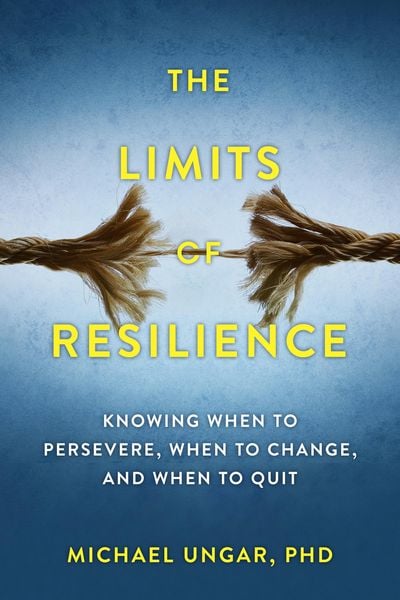 Produktbild: The Limits of Resilience