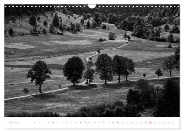 Produktbild: Mystischer Schwarzwald (Wandkalender 2026 DIN A3 quer), CALVENDO Monatskalender