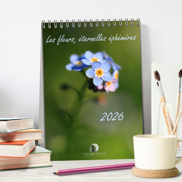 Produktbild: Les fleurs, &eacute;ternelles &eacute;phem&egrave;res (Calendrier de bureau 2027 DIN A5 horizontal), CALVENDO calendrier mensuel