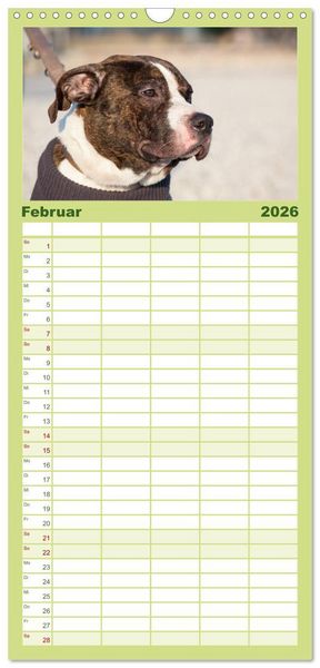Produktbild: Familienplaner 2026 - Pit Bull und Co. - Geliebt, gef&uuml;rchtet, missverstanden mit 5 Spalten (Wandkalender, 21 x 45 cm) CALVENDO