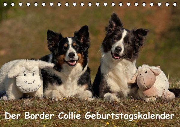 Produktbild: Der Border Collie Geburtstagskalender (Tischkalender immerw&auml;hrend DIN A5 quer)