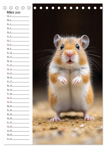 Produktbild: Ganz von vorn (Tischkalender 2026 DIN A5 hoch), CALVENDO Monatskalender