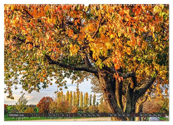 Produktbild: Karlsruhes Osten (hochwertiger Premium Wandkalender 2026 DIN A2 quer), Kunstdruck in Hochglanz