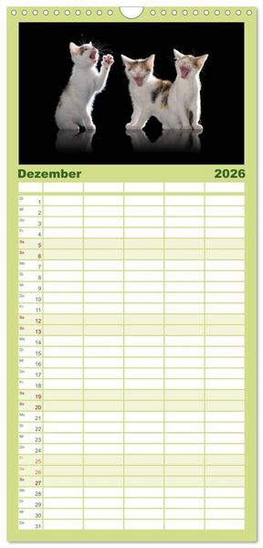 Produktbild: Familienplaner 2026 - L&auml;chelnd durchs Jahr - Katzenkinder -Familienplaner hoch mit 5 Spalten (Wandkalender, 21 x 45 cm) CALVENDO