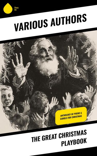 Produktbild: The Great Christmas Playbook