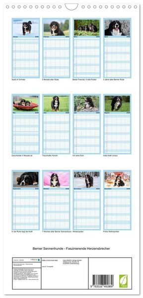 Produktbild: Familienplaner 2026 - Berner Sennenhunde - Faszinierende Herzensbrecher mit 5 Spalten (Wandkalender, 21 x 45 cm) CALVENDO