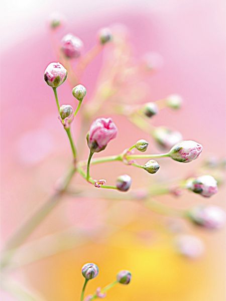 Produktbild: CALVENDO Puzzle W&auml;rme 1000 Teile Puzzle hoch | 1000 Teile Lege-Gr&ouml;&szlig;e 64 &times; 48 cm Foto-Puzzle f&uuml;r gl&uuml;ckliche Stunden