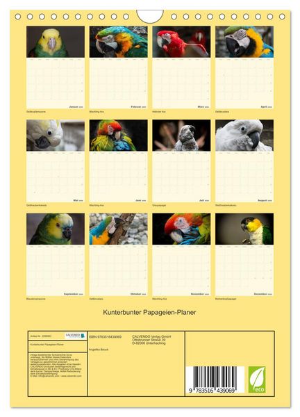 Produktbild: Kunterbunter Papageien-Planer (Wandkalender 2026 DIN A4 hoch), CALVENDO Monatskalender