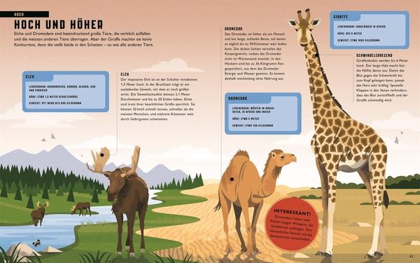 Produktbild: Gro&szlig;artige Tiere