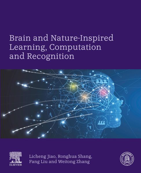 Produktbild: Brain and Nature-Inspired Learning, Computation and Recognition