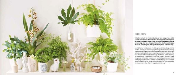 Produktbild: Leendertz, L: My Tiny Indoor Garden