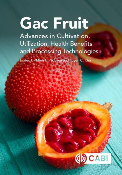 Produktbild: Gac Fruit