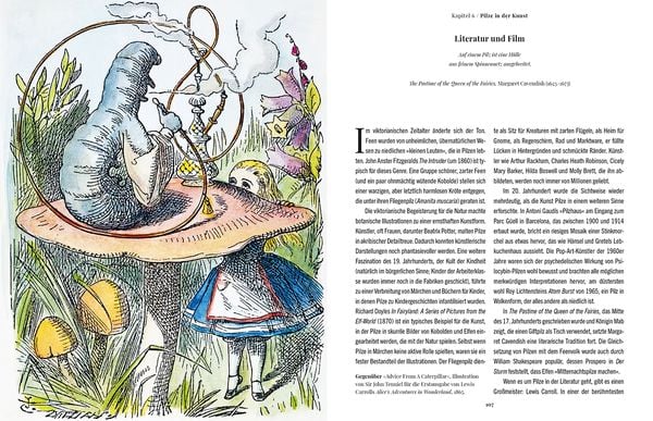 Produktbild: Die Magie der Pilze