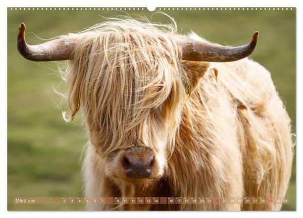 Produktbild: Von den Highlands zu den Hebriden (hochwertiger Premium Wandkalender 2026 DIN A2 quer), Kunstdruck in Hochglanz