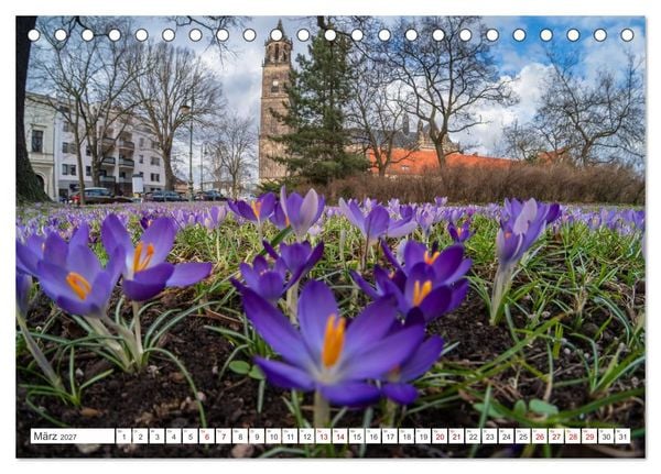 Produktbild: Domperspektiven: Magdeburger Dom - Neu gesehen 2027 (Tischkalender 2027 DIN A5 quer), CALVENDO Monatskalender