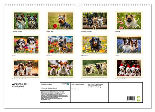Produktbild: Winzlinge der Hundewelt (Wandkalender 2026 DIN A2 quer), CALVENDO Monatskalender