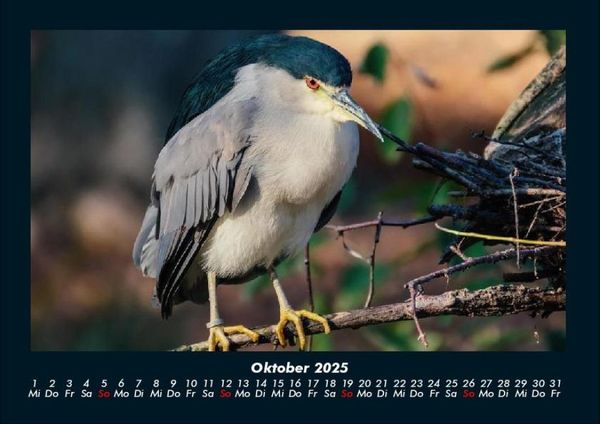 Produktbild: Der Tierkalender 2025 Fotokalender DIN A4