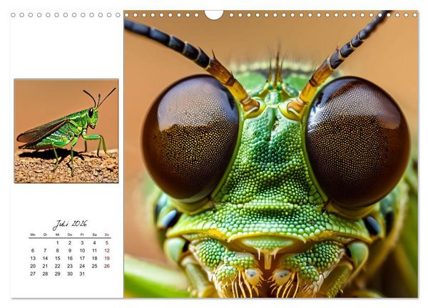 Produktbild: Facettenaugen - Meisterwerke der Natur (Wandkalender 2026 DIN A3 quer), CALVENDO Monatskalender