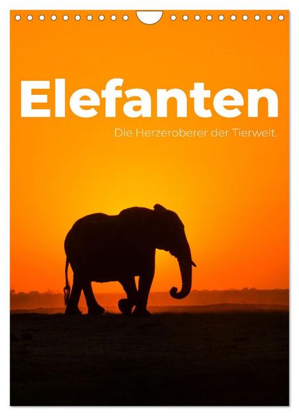 Produktbild: Elefanten - Die Herzeroberer der Tierwelt. (Wandkalender 2026 DIN A4 hoch), CALVENDO Monatskalender