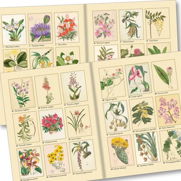 Produktbild: Kew Gardens - Florale Ausmaltr&auml;ume