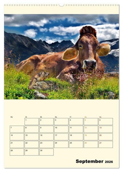 Produktbild: Lustig verr&uuml;ckt - der Tierkalender (hochwertiger Premium Wandkalender 2026 DIN A2 hoch), Kunstdruck in Hochglanz