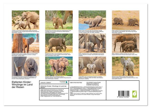 Produktbild: Elefanten Kinder: Winzlinge im Land der Riesen (Wandkalender 2026 DIN A3 quer), CALVENDO Monatskalender