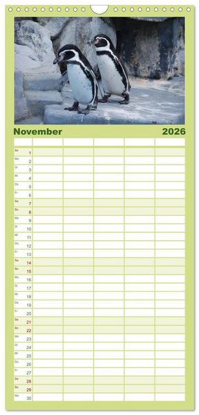 Produktbild: Familienplaner 2026 - Pinguine 2026 mit 5 Spalten (Wandkalender, 21 x 45 cm) CALVENDO