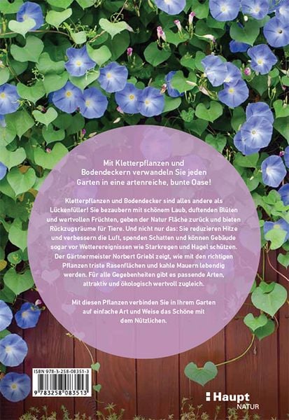 Produktbild: Kletterpflanzen und Bodendecker