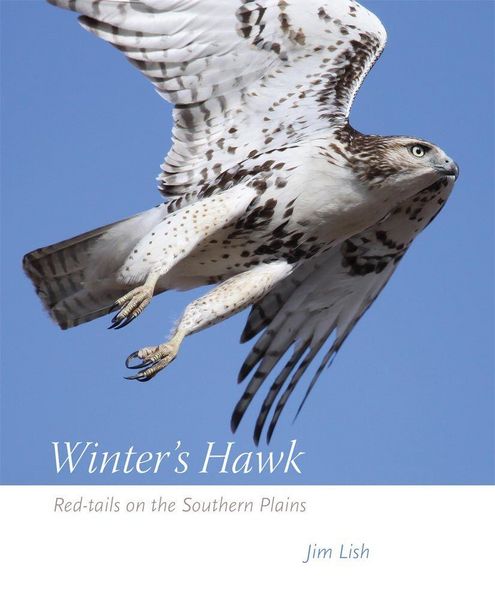 Produktbild: Winter's Hawk