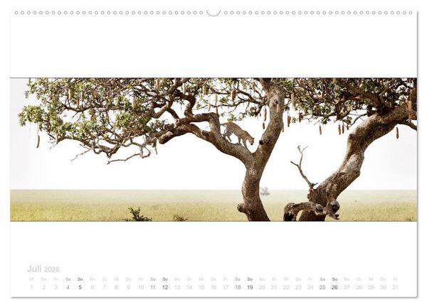 Produktbild: Serengeti Panorama (hochwertiger Premium Wandkalender 2026 DIN A2 quer), Kunstdruck in Hochglanz