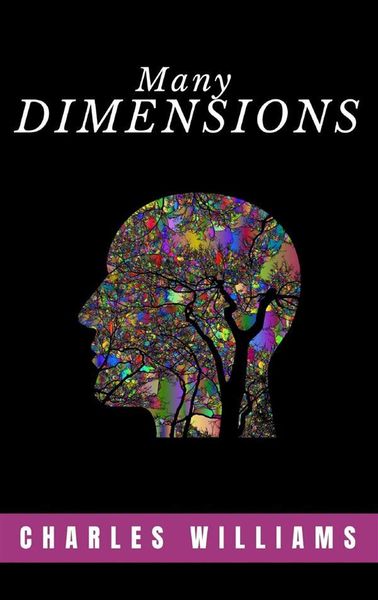 Produktbild: Many Dimensions