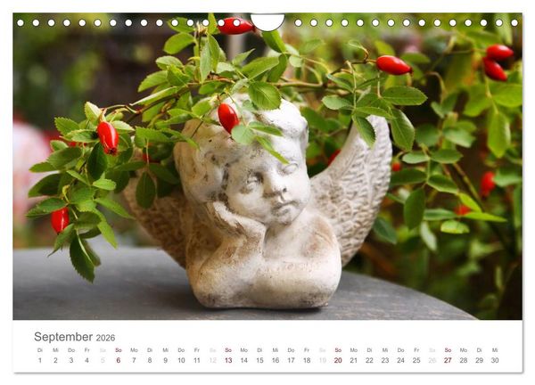 Produktbild: Engel in Haus und Garten (Wandkalender 2026 DIN A4 quer), CALVENDO Monatskalender