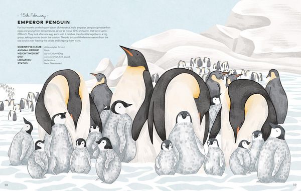 Produktbild: Animal Day Hb