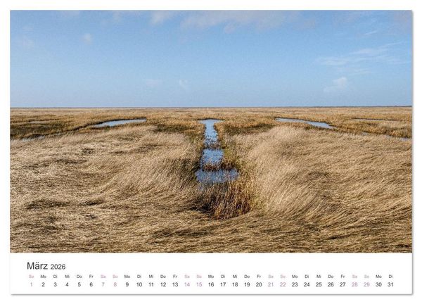 Produktbild: Hamburger Hallig - Der Weg ist das Ziel (hochwertiger Premium Wandkalender 2026 DIN A2 quer), Kunstdruck in Hochglanz
