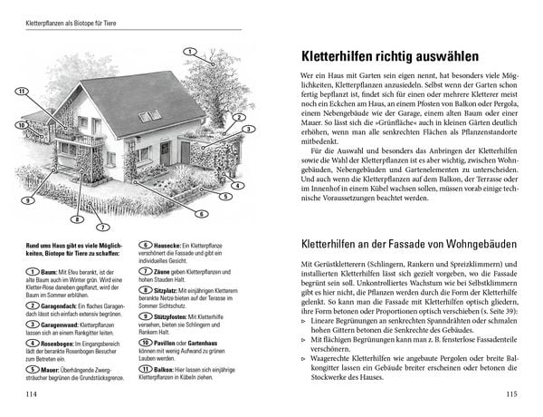 Produktbild: Gr&uuml;ne W&auml;nde f&uuml;r Haus und Garten