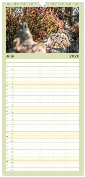 Produktbild: Familienplaner 2026 - Zauberhaftes Heidekraut - Elbsandstein mit 5 Spalten (Wandkalender, 21 x 45 cm) CALVENDO