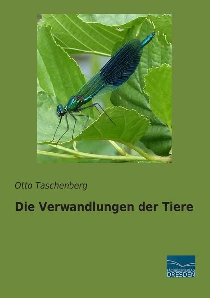 Produktbild: Die Verwandlungen der Tiere