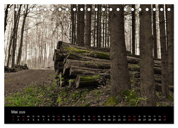 Produktbild: Faszination Wald. Waldimpressionen aus Nordhessen von Lutz Klapp (Tischkalender 2026 DIN A5 quer), CALVENDO Monatskalender