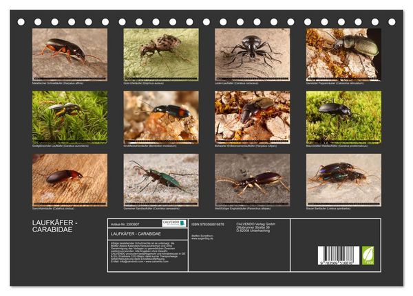 Produktbild: LAUFK&Auml;FER - CARABIDAE (Tischkalender 2027 DIN A5 quer), CALVENDO Monatskalender