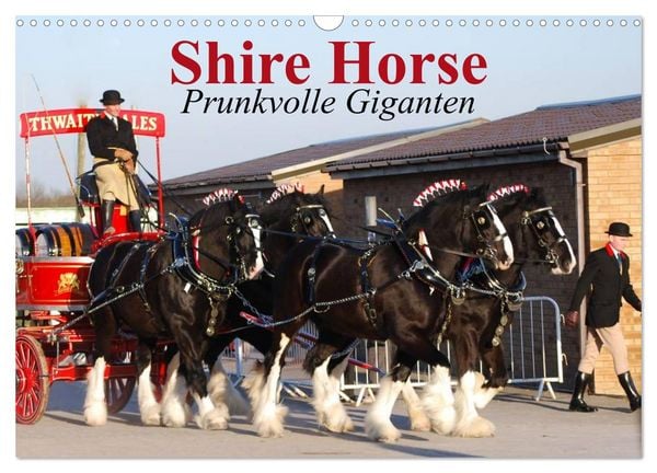 Produktbild: Shire Horse &bull; Prunkvolle Giganten (Wandkalender 2026 DIN A3 quer), CALVENDO Monatskalender