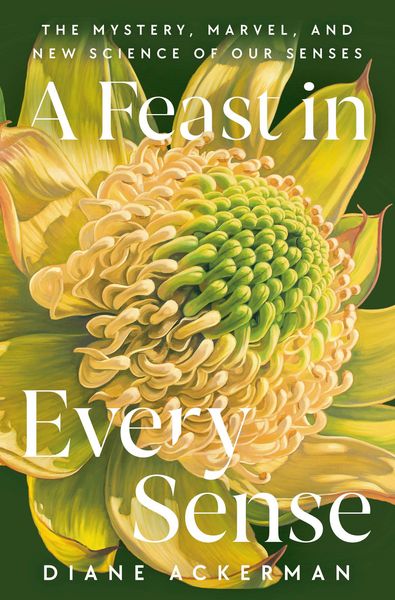 Produktbild: A Feast in Every Sense