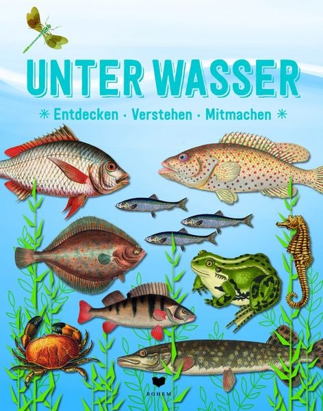 Produktbild: Der gro&szlig;e Baumhauswettbewerb