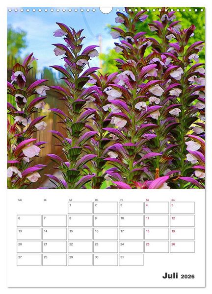 Produktbild: BL&Uuml;TENZAUBER (Wandkalender 2026 DIN A3 hoch), CALVENDO Monatskalender