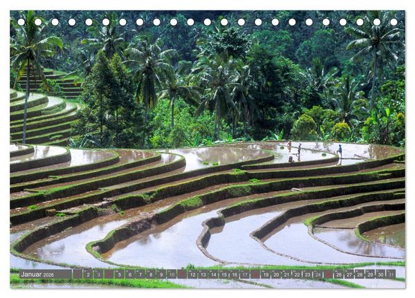 Produktbild: Peter Fischer - Bali 2026 (Tischkalender 2026 DIN A5 quer), CALVENDO Monatskalender