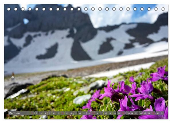 Produktbild: Flora der Alpen (Tischkalender 2026 DIN A5 quer), CALVENDO Monatskalender