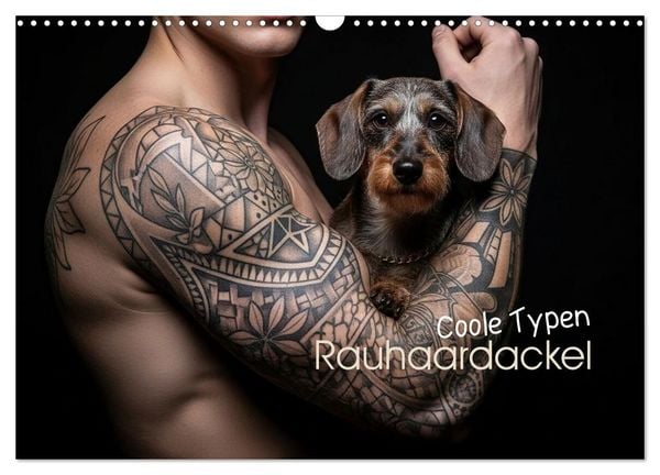Produktbild: Coole Typen - Rauhaardackel (Wandkalender 2026 DIN A3 quer), CALVENDO Monatskalender