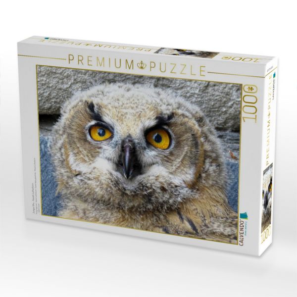 Produktbild: CALVENDO Puzzle Junger Uhu - Kassel-Lutherturm | 1000 Teile Lege-Gr&ouml;&szlig;e 64x48cm Foto-Puzzle f&uuml;r gl&uuml;ckliche Stunden